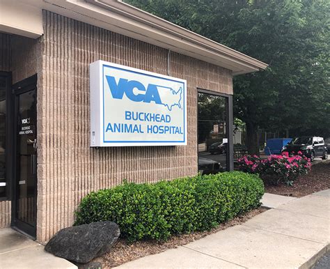 vca buckhead animal hospital